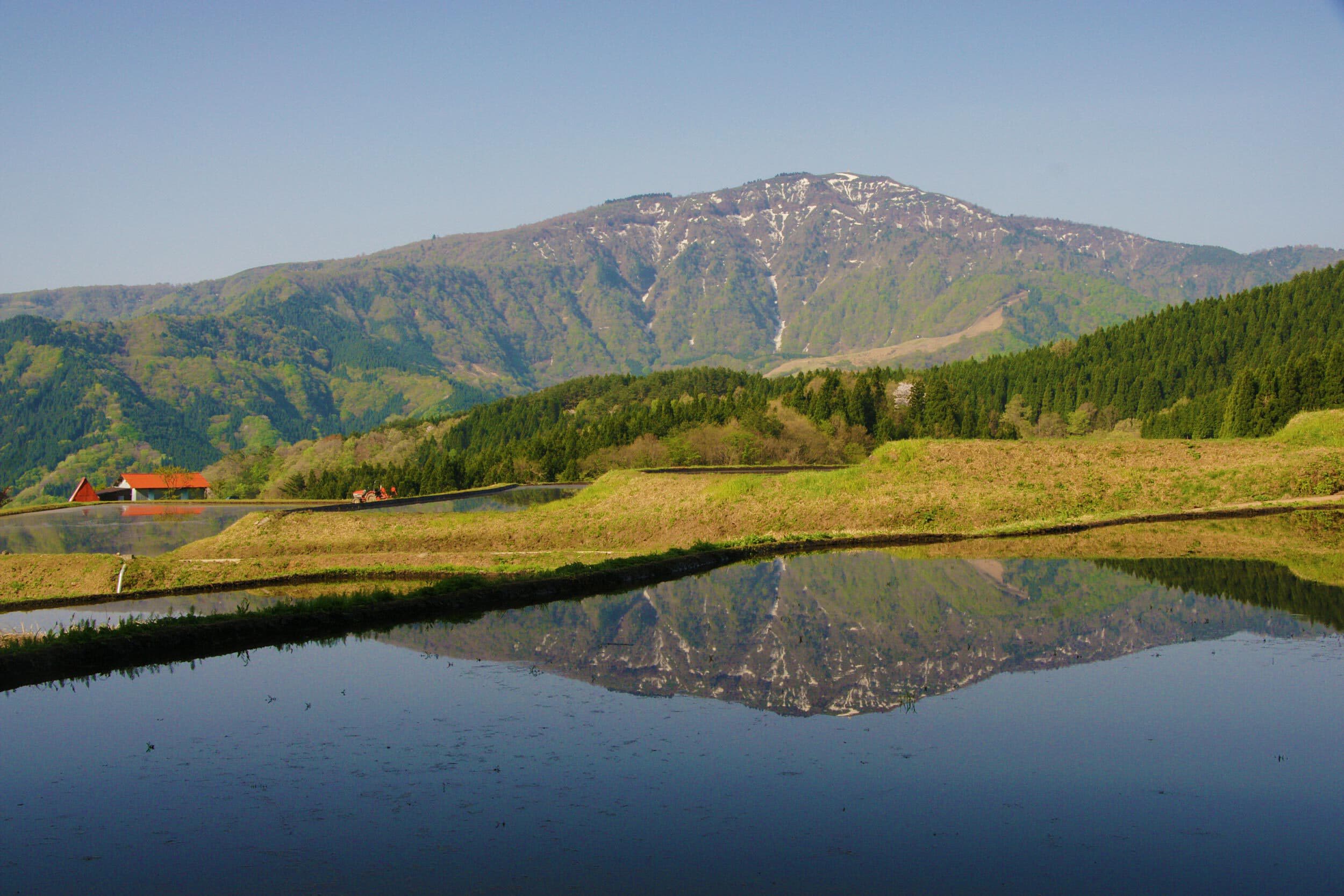 hyounosen01.jpg